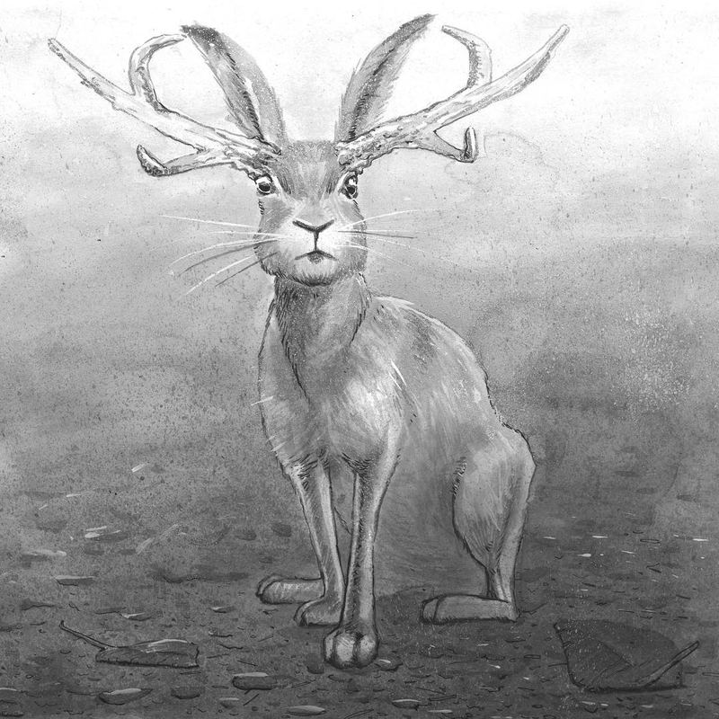 Antlered hare in a misty field