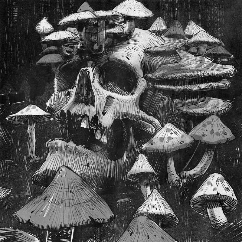 Giant skull sprouting mushrooms
